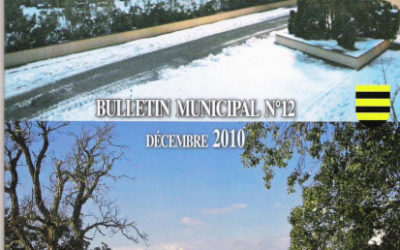 Bulletin Municipal n°12 Décembre 2010