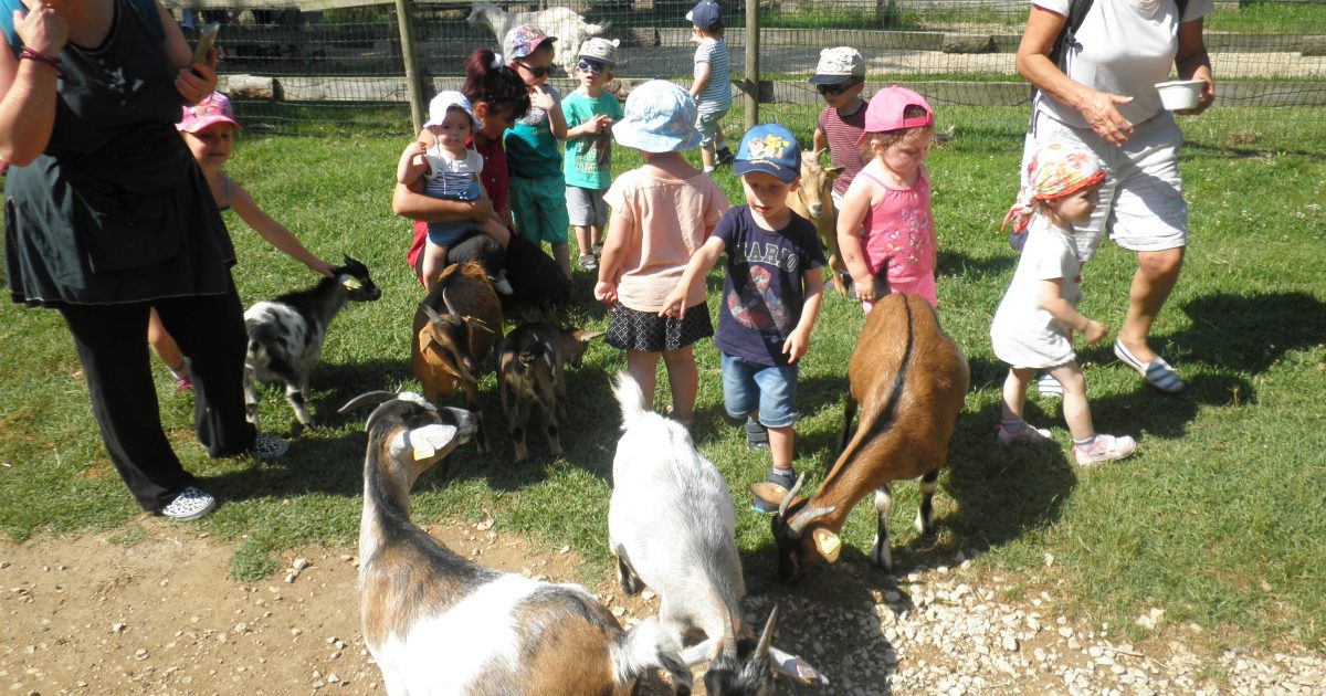 RAM Sortie a la ferme decouverte