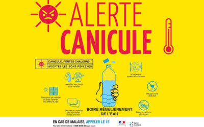 Alerte Canicule