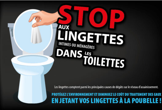 STOP AUX LINGETTES DANS LES TOILETTES ! - HABITAT Perpignan Méditerranée