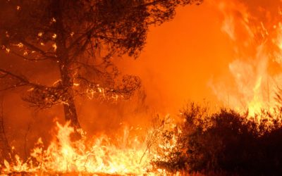 Circulaire adressée aux maires des communes des Pyrénées Orientales – la circulaire du 28 mars 2023 relative à la prévention des incendies de forêts, obligations légales de débroussaillement.