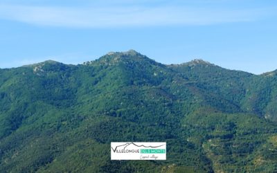 Arrêté municipal n°10/23 du 17/05/2023 réglementant l’accès au massif des Albères et pistes DFCI de la commune de Villelongue Dels Monts