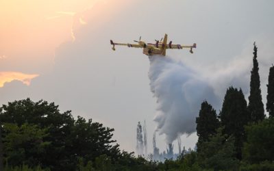 Prévention des incendies de forêts, réglementation Référence