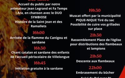 Els Focs de la Sant Joan