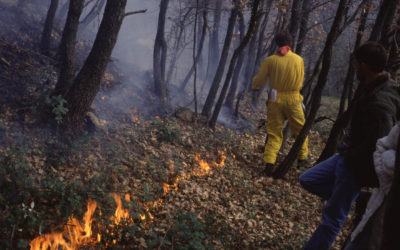 Opérations de brûlages dirigés (message Préfecture)