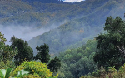 Bulletin Municipal n°42