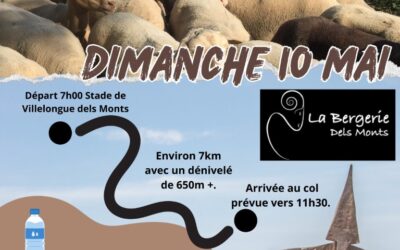 Transhumance