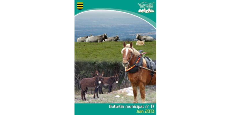 Bulletin Municipal n°17 Juin 2013