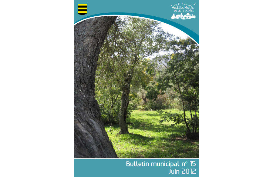 Bulletin Municipal n°15 Juin 2012
