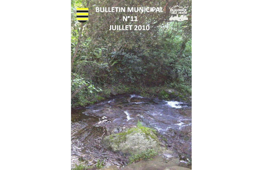 Bulletin Municipal n°11 Juillet 2010