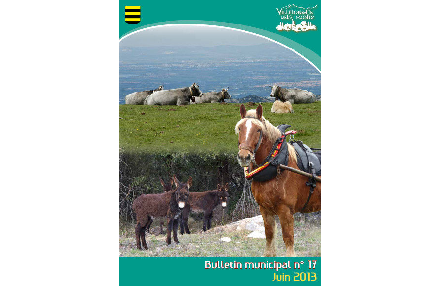 Bulletin Municipal n°17 Juin 2013